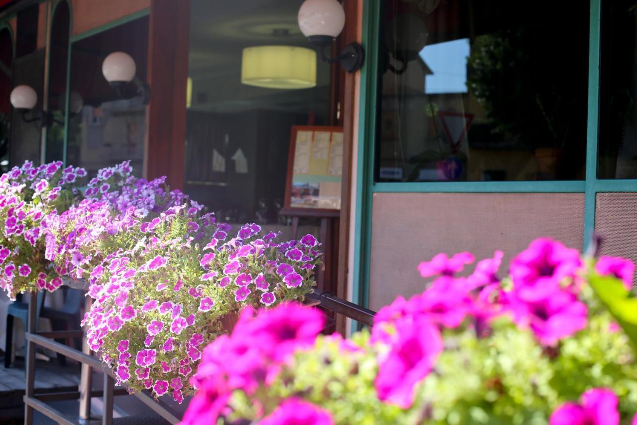 Hotel Ristorante Umbria ออร์เวียโต ภายนอก รูปภาพ
