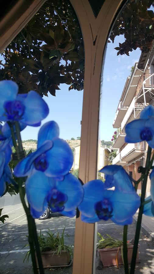 Hotel Ristorante Umbria ออร์เวียโต ภายนอก รูปภาพ